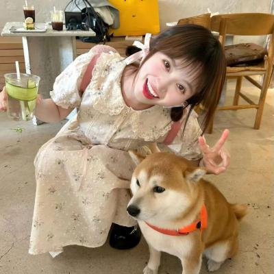 全都可以原谅